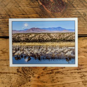 Seeping Pond Moon Notecard