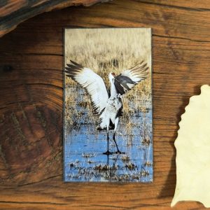 Crane Wings Open Magnet