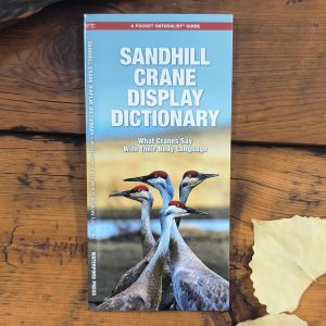 A Pocket Naturalist Guide Sandhill Crane Display Dictionary
