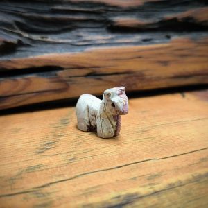 Mini Horse Fetish