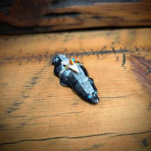 Orthocera Fossil Bever Fetish