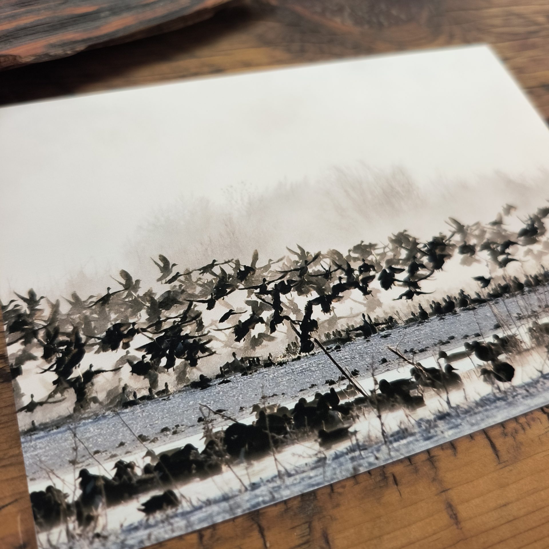 Ducks in the Mist Notecard - Image 2