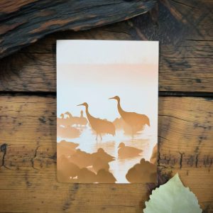 Sandhills in the Mist Notecard