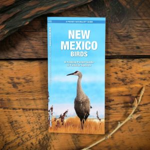 A Pocket Naturalist Guide New Mexico Birds