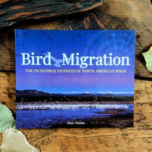 Bird Migration