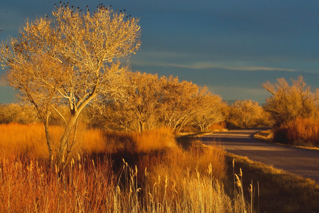 1st place winner 2022 | Landscape category | Photo by Vicki Wilmarth
