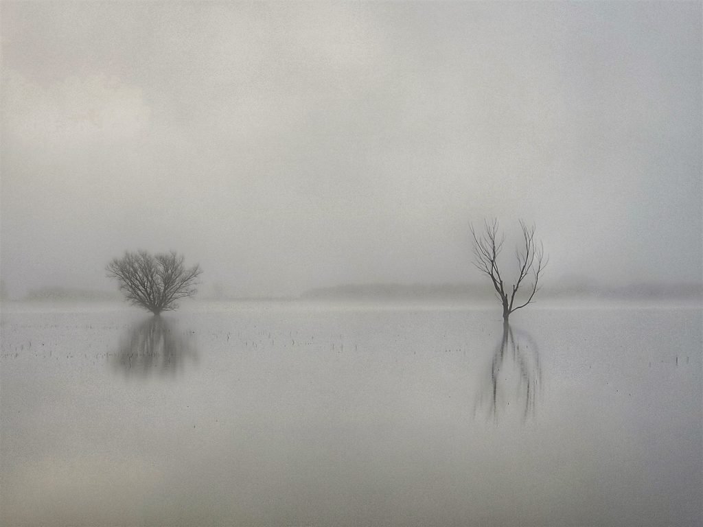 2nd place winner 2022 | Landscape category | Photo by Dave Kenny
