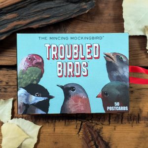 Troubled Birds Postcards