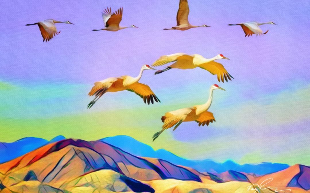 Celebrate the Magic at the 35th Annual Festival of the Cranes!