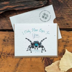 Jumping Spider Plantable Notecard