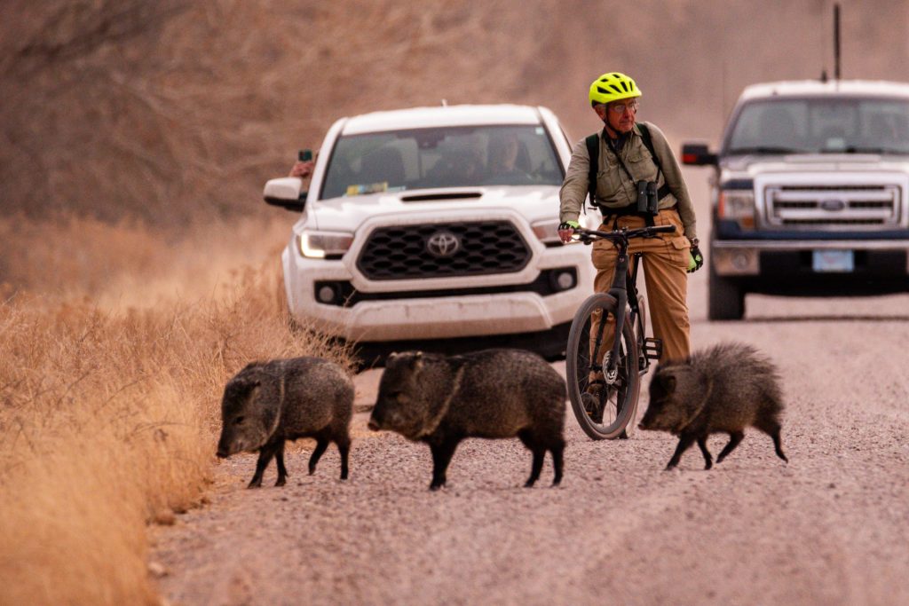 1st place winner 2024 | People category | Photo by Phillip Hicks