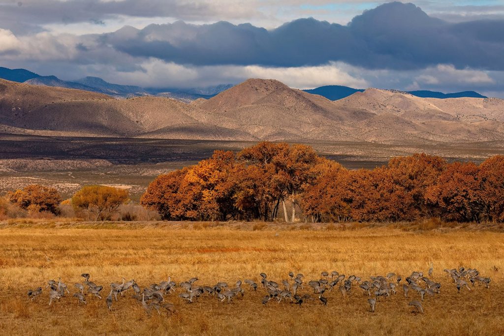 1st place winner 2024 | Landscape category | Photo by Cindy Fleenor