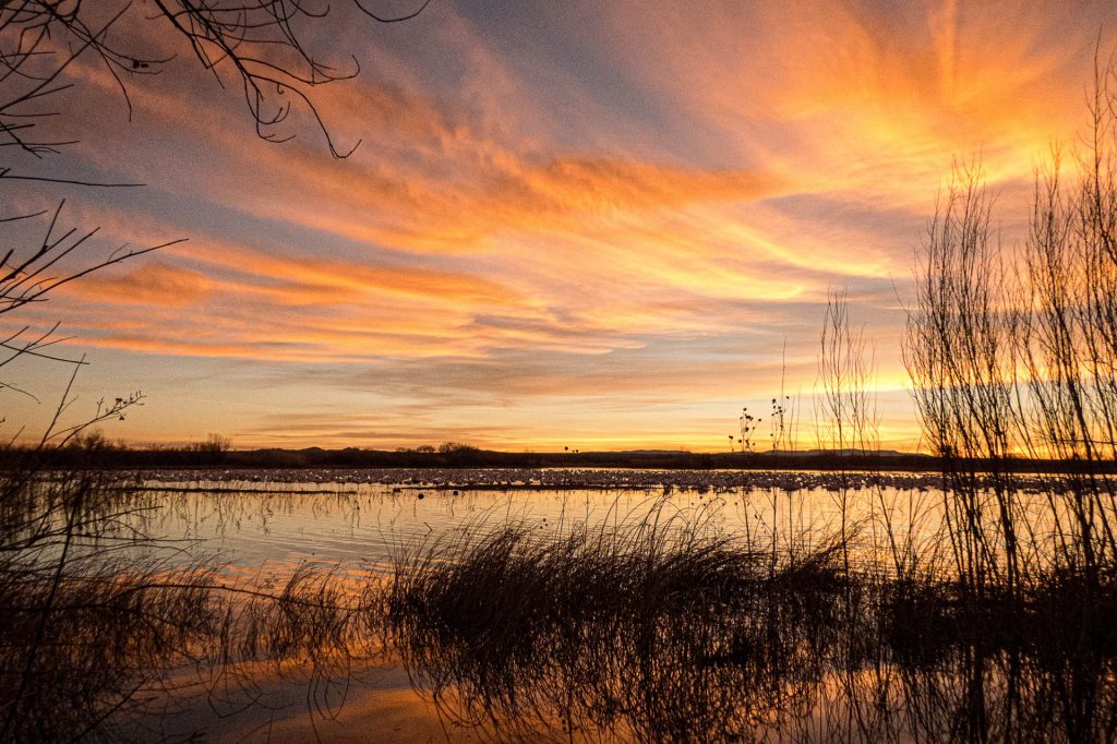 2nd place winner 2024 | Landscape category | Photo by Phillip Russell