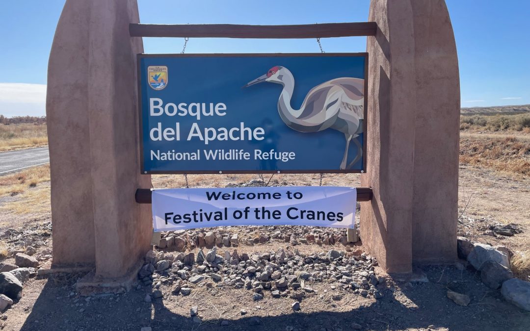35th Annual Festival of the Cranes Was One for the Books!