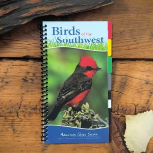 Birds of the Southwest Quick Guide