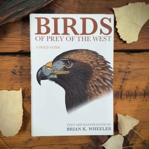 Birds of Prey of the West: A Field Guide