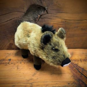 Javelina Plush