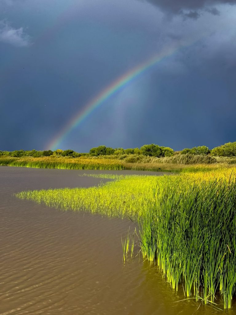 1st place winner 2025 | Landscape category | Photo by Charles Vadovic