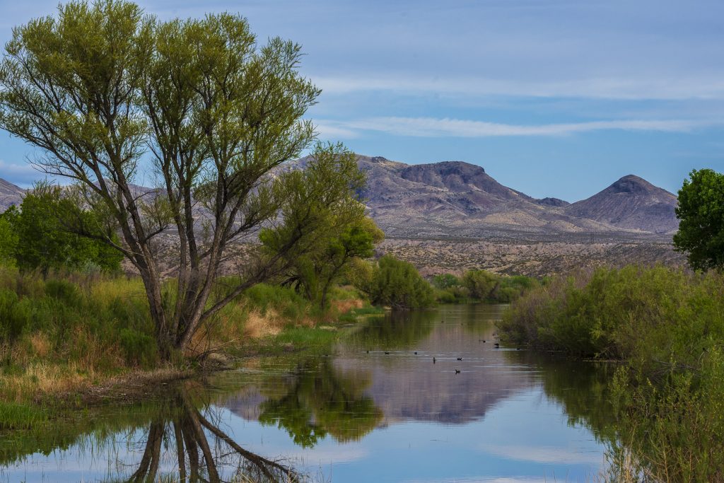 2nd place winner 2025 | Landscape category | Photo by Larry Kimball