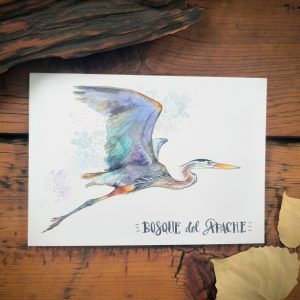 BdA Great Blue Heron