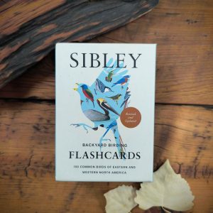 Sibley Flashcards: Backyard Birding