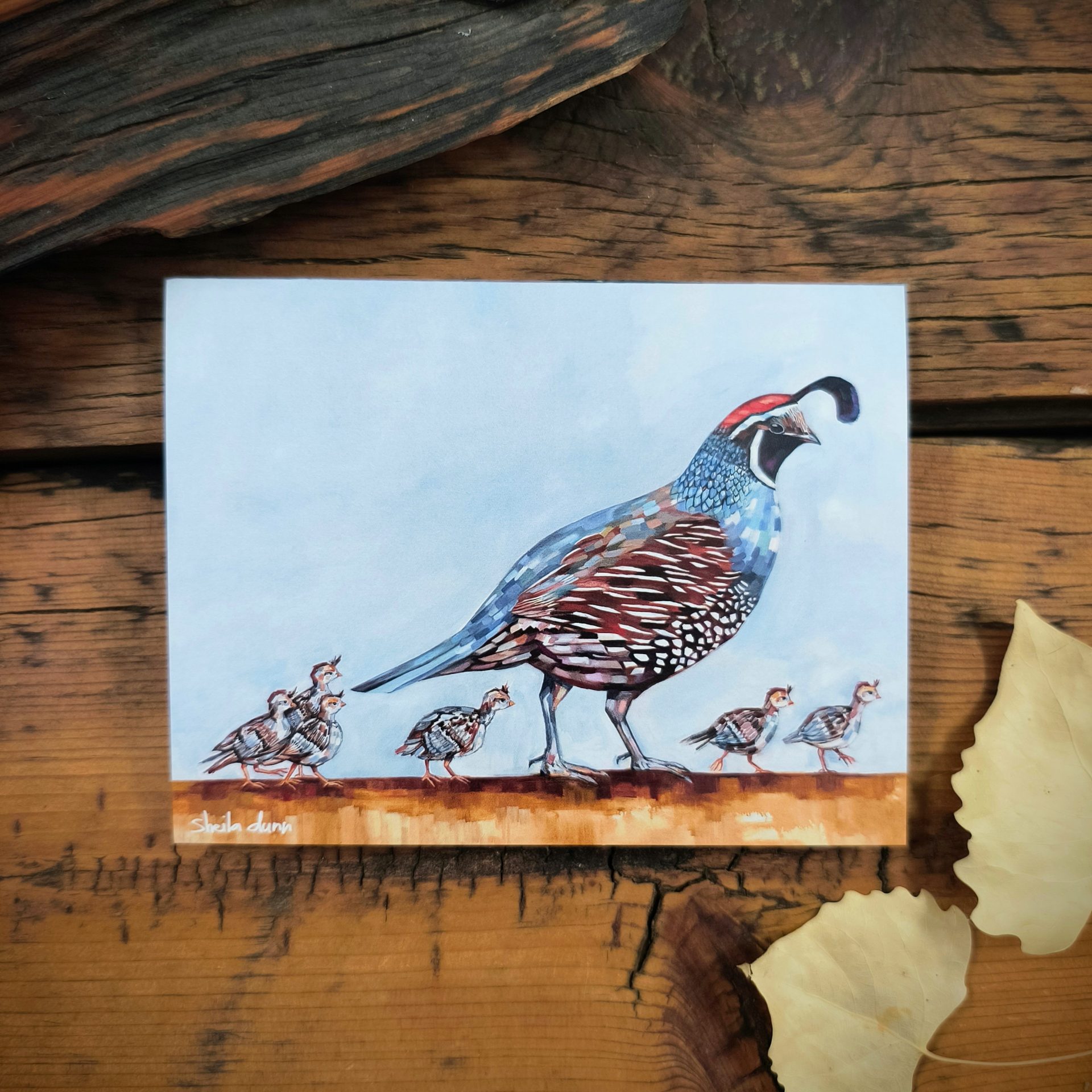 Quail Family Notecard
