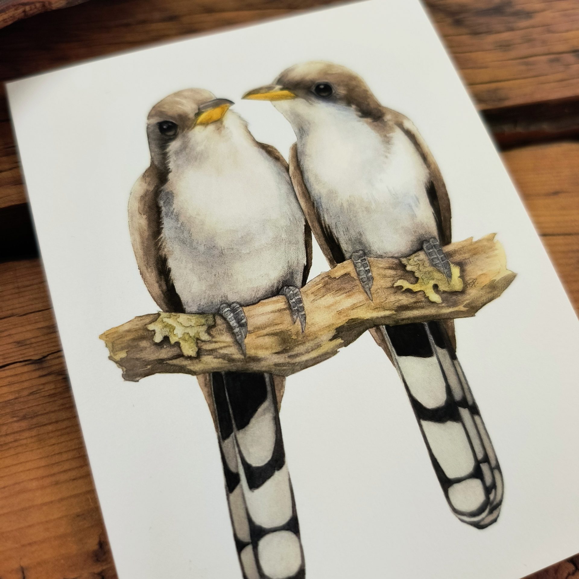 Yellow-billed Cuckoo Notecard - Image 2