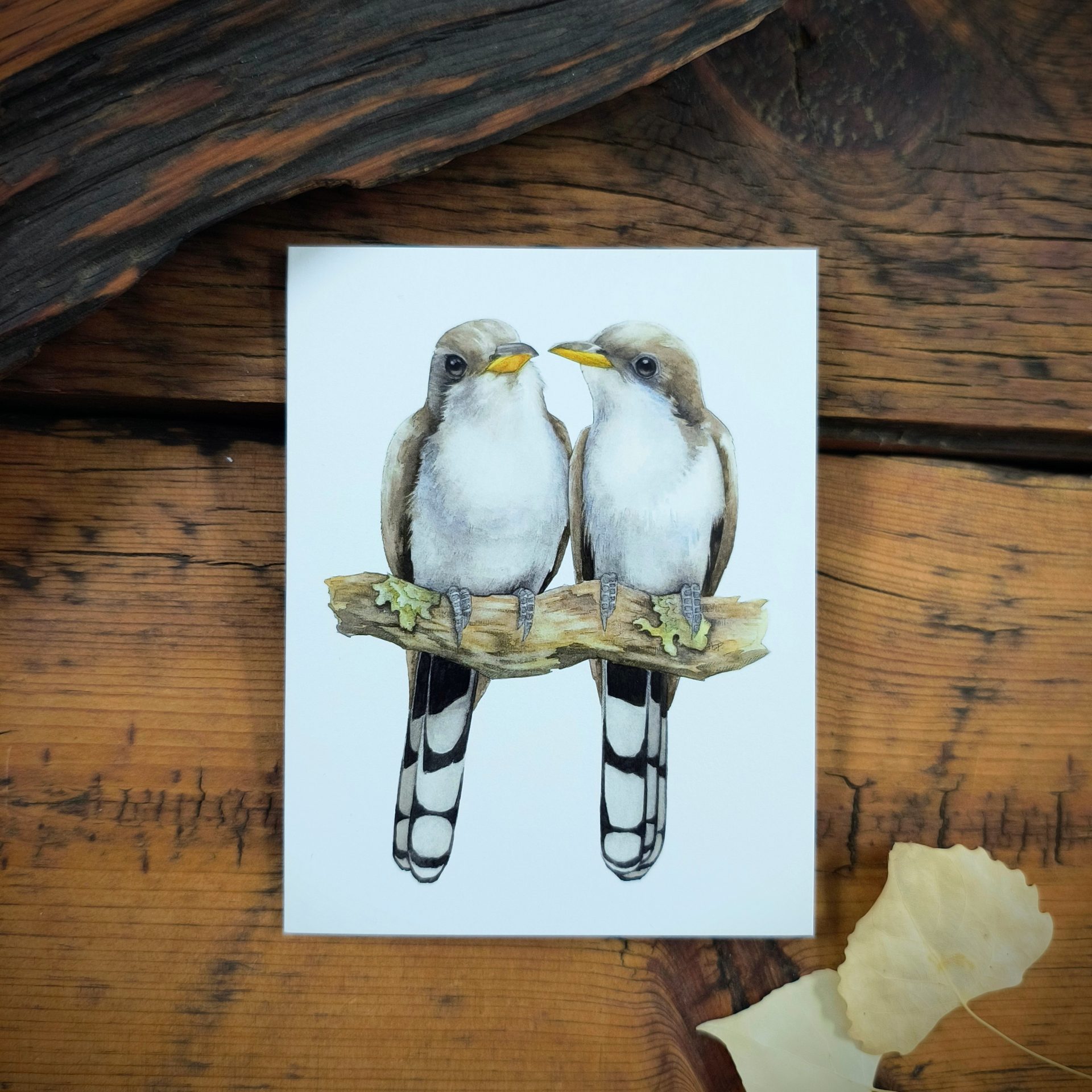Yellow-billed Cuckoo Notecard