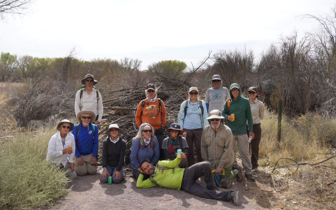 Exciting Progress at the Pollinator Habitat Enhancement Project Site