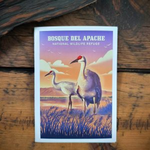 Bosque Sandhill Crane Lithograph Notecard