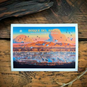Lithograph BdA Art Notecard