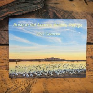 Bosque del Apache 2027 Calendar