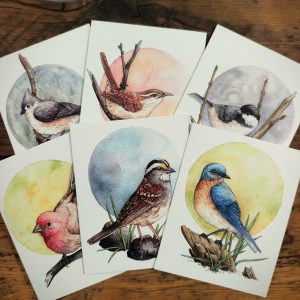 Backyard Birds Card Set